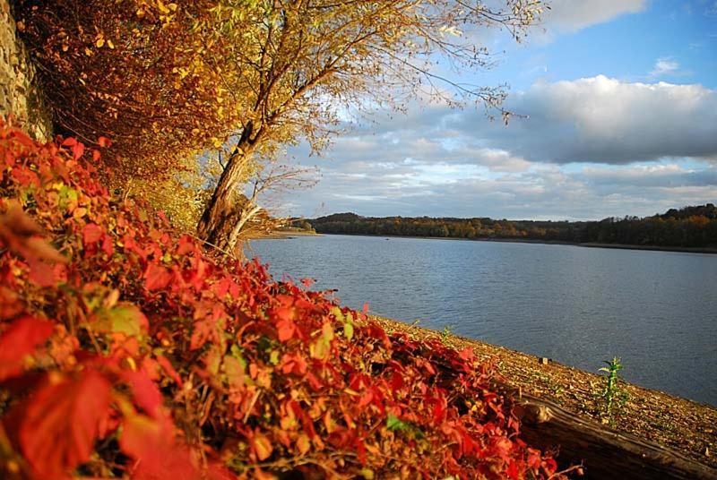 Maison Bord De Lac De Charmes Bannes  Dış mekan fotoğraf